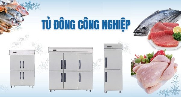 Tân Lộc Phát đơn vị phân phối tủ đông tủ mát cho nhà hàng khách sạn